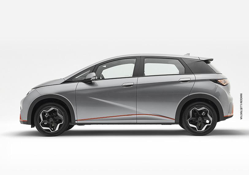 Dolphin EV